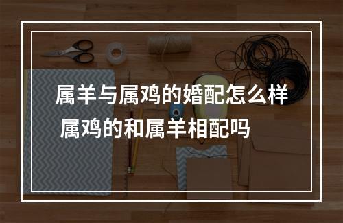 属羊与属鸡的婚配怎么样 属鸡的和属羊相配吗