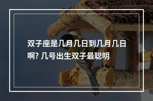 双子座是几月几日到几月几日啊? 几号出生双子最聪明