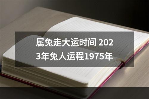 属兔走大运时间 2023年兔人运程1975年