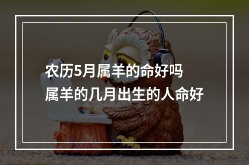 农历5月属羊的命好吗 属羊的几月出生的人命好