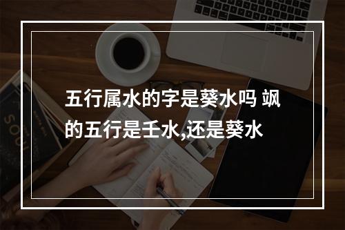 五行属水的字是葵水吗 飒的五行是壬水,还是葵水
