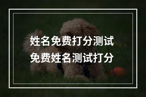 姓名免费打分测试 免费姓名测试打分