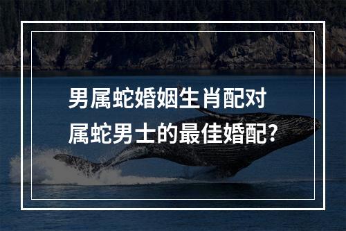 男属蛇婚姻生肖配对 属蛇男士的最佳婚配?