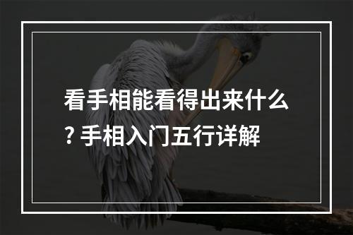 看手相能看得出来什么? 手相入门五行详解