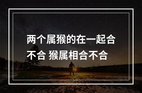 两个属猴的在一起合不合 猴属相合不合