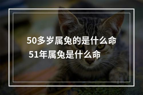 50多岁属兔的是什么命 51年属兔是什么命