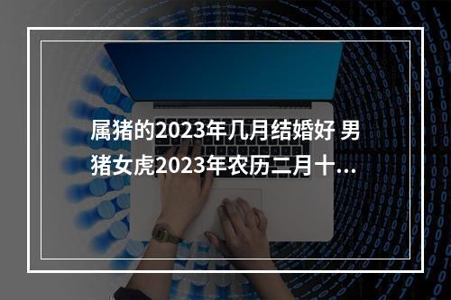 属猪的2023年几月结婚好 男猪女虎2023年农历二月十八订婚可以吗?