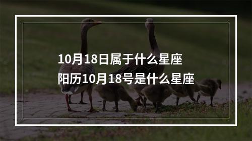 10月18日属于什么星座 阳历10月18号是什么星座