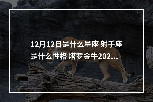 12月12日是什么星座 射手座是什么性格 塔罗金牛2023年6月