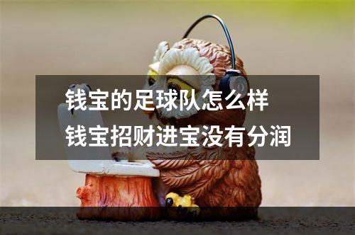 钱宝的足球队怎么样 钱宝招财进宝没有分润