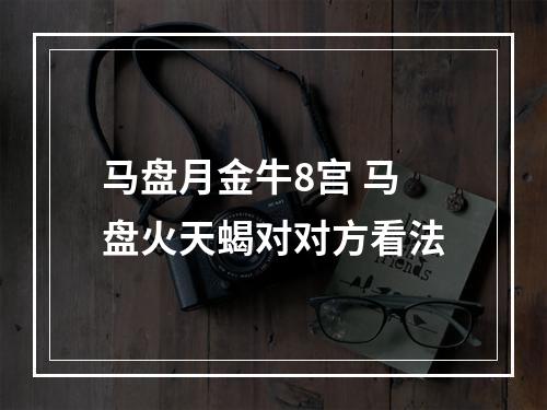 马盘月金牛8宫 马盘火天蝎对对方看法