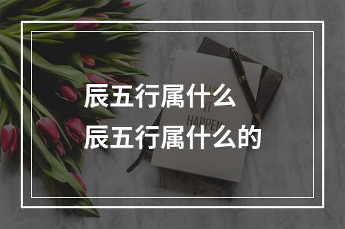 辰五行属什么 辰五行属什么的