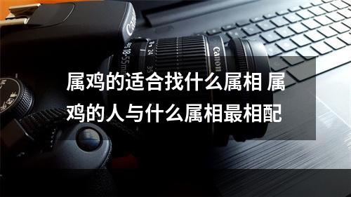 属鸡的适合找什么属相 属鸡的人与什么属相最相配