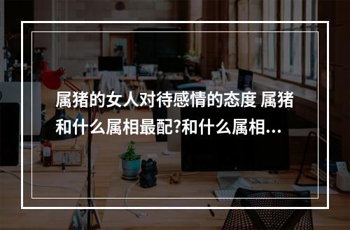 属猪的女人对待感情的态度 属猪和什么属相最配?和什么属相不配?