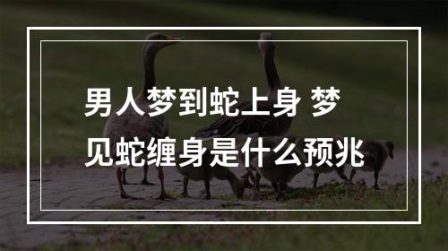 男人梦到蛇上身 梦见蛇缠身是什么预兆