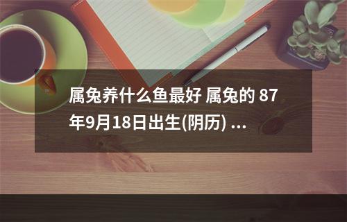 属兔养什么鱼最好 属兔的 87年9月18日出生(阴历) 养几条鱼比较好?有什么具体讲究吗...