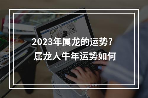 2023年属龙的运势? 属龙人牛年运势如何