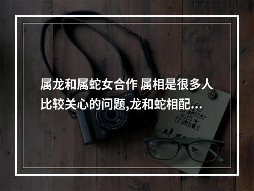 属龙和属蛇女合作 属相是很多人比较关心的问题,龙和蛇相配吗?