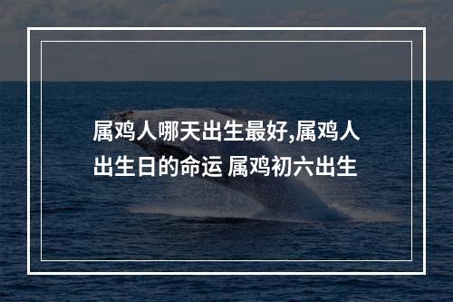 属鸡人哪天出生最好,属鸡人出生日的命运 属鸡初六出生