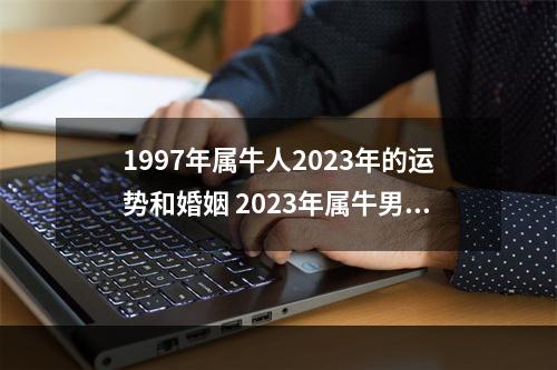 1997年属牛人2023年的运势和婚姻 2023年属牛男的财运