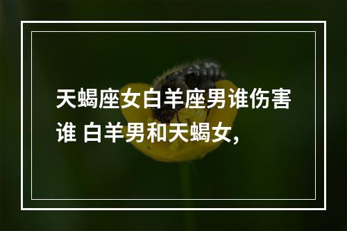 天蝎座女白羊座男谁伤害谁 白羊男和天蝎女,