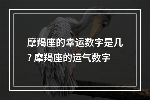 摩羯座的幸运数字是几? 摩羯座的运气数字