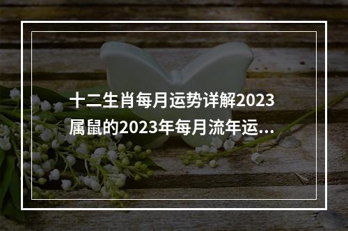 十二生肖每月运势详解2023 属鼠的2023年每月流年运程