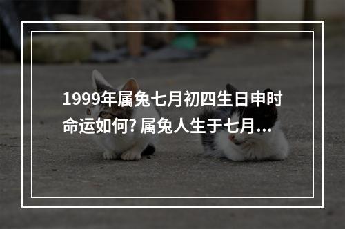1999年属兔七月初四生日申时命运如何? 属兔人生于七月命运如何