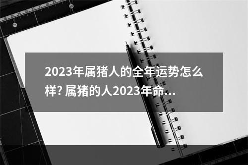 2023年属猪人的全年运势怎么样? 属猪的人2023年命运
