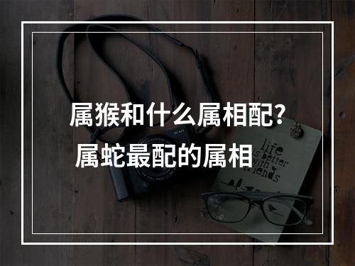 属猴和什么属相配? 属蛇最配的属相