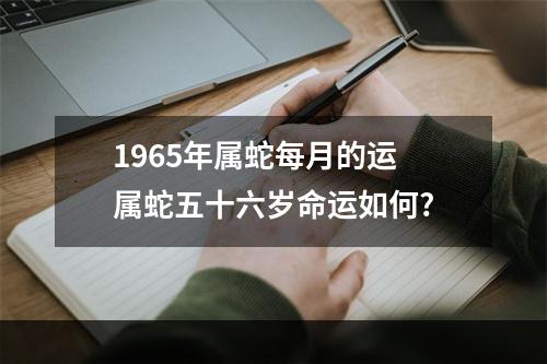 1965年属蛇每月的运 属蛇五十六岁命运如何?