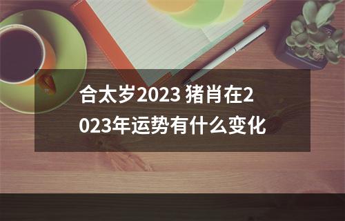 合太岁2023 猪肖在2023年运势有什么变化