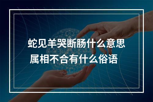 蛇见羊哭断肠什么意思 属相不合有什么俗语