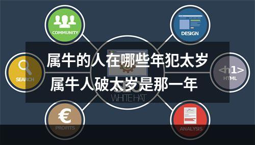 属牛的人在哪些年犯太岁 属牛人破太岁是那一年