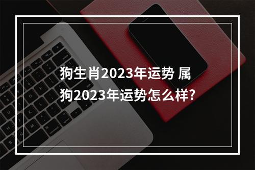 狗生肖2023年运势 属狗2023年运势怎么样?