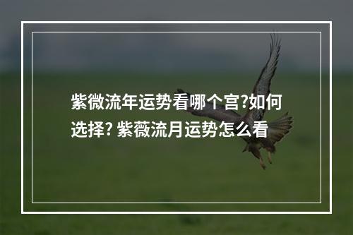 紫微流年运势看哪个宫?如何选择? 紫薇流月运势怎么看