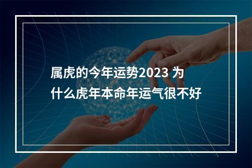 属虎的今年运势2023 为什么虎年本命年运气很不好