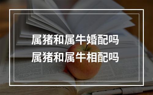 属猪和属牛婚配吗 属猪和属牛相配吗