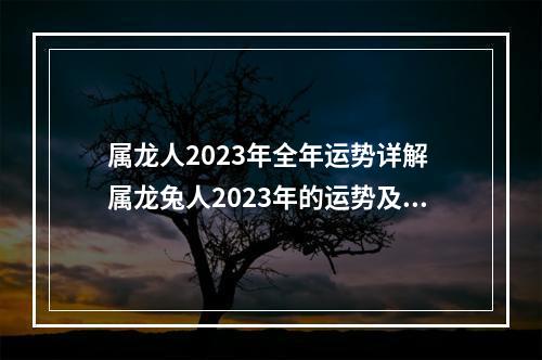 属龙人2023年全年运势详解 属龙兔人2023年的运势及运程