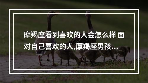 摩羯座看到喜欢的人会怎么样 面对自己喜欢的人,摩羯座男孩子会不会主动?