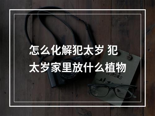 怎么化解犯太岁 犯太岁家里放什么植物