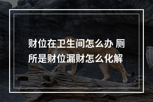 财位在卫生间怎么办 厕所是财位漏财怎么化解