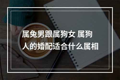 属兔男跟属狗女 属狗人的婚配适合什么属相
