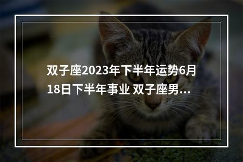 双子座2023年下半年运势6月18日下半年事业 双子座男下半年感情运势