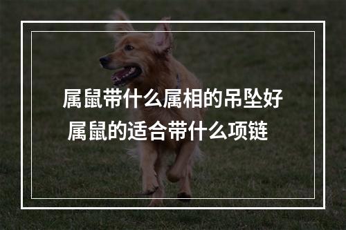 属鼠带什么属相的吊坠好 属鼠的适合带什么项链