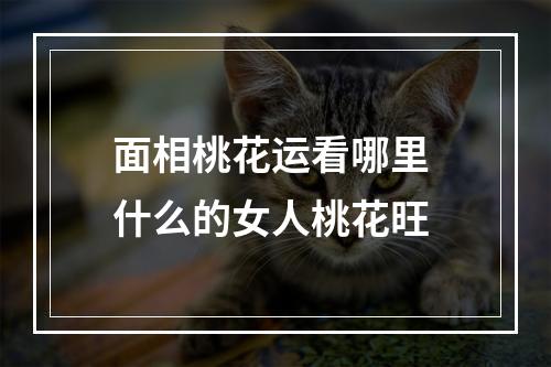 面相桃花运看哪里 什么的女人桃花旺