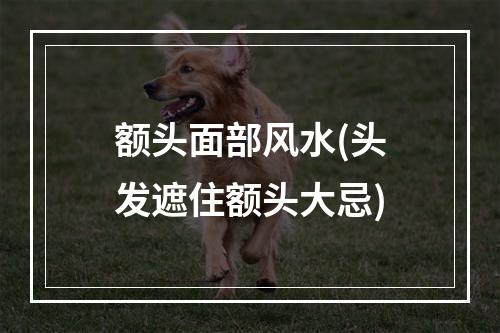 额头面部风水(头发遮住额头大忌)