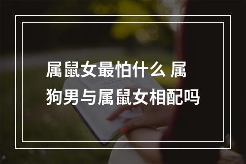 属鼠女最怕什么 属狗男与属鼠女相配吗