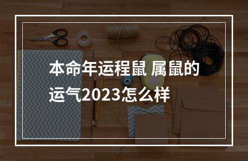 本命年运程鼠 属鼠的运气2023怎么样