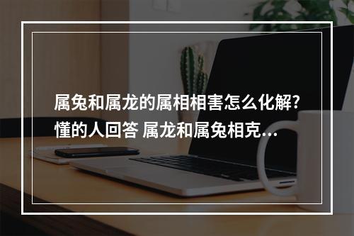 属兔和属龙的属相相害怎么化解?懂的人回答 属龙和属兔相克怎么化解